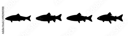 Salmon Fish Silhouettes in Various Poses Flat Design vector illustration