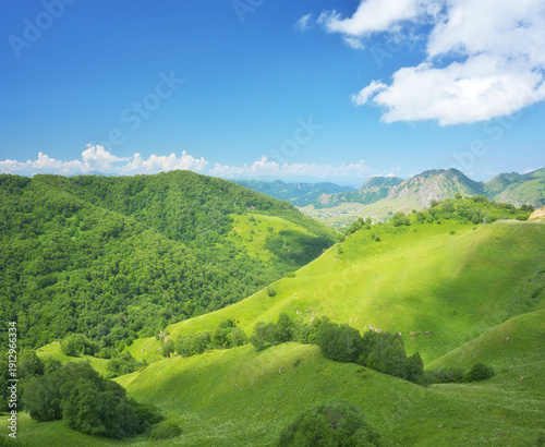 Spring nature landscape of green grass on mountain hills at day.