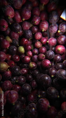 red cranberries background