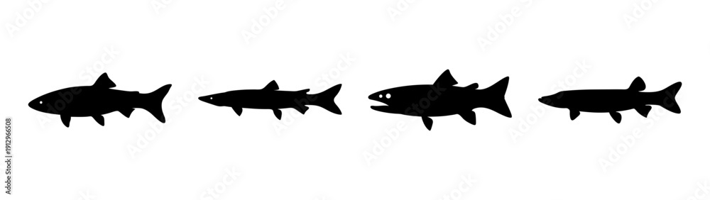 Obraz premium Barracuda Silhouettes in Various Poses Vector Illustration