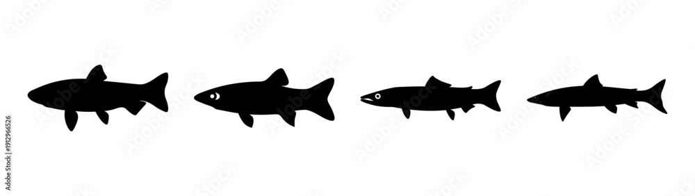 Obraz premium Set of Barracuda Silhouettes in Flat Design Vector Illustration