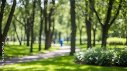 Blurred park scene with walking path and trees outdoor nature grass