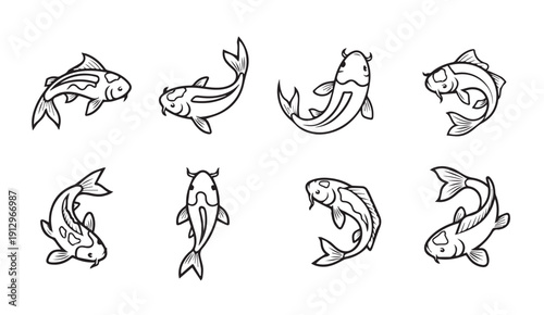 Hand Drawn Koi Fish Vector Illustrations Set Isolated on White Background
