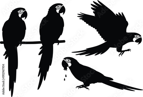 Black Silhouette Illustration of Parrots in Various Poses Including Perched, Flying, and Eating Depicting Wildlife, Nature, and Bird Behavior