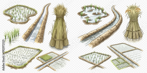 Set of rice fields, irrigation canals, and haystacks, illustrating agricultural elements and water management.