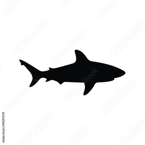 Black Bull Shark Silhouette Isolated on White Background vector illustration