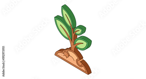 Young Green Plant Growing from Soil.