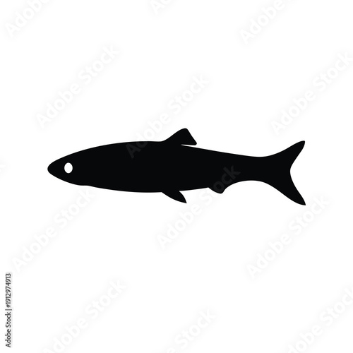Black Silhouette of Anchovy Fish Isolated on White Background Vector Illustration
