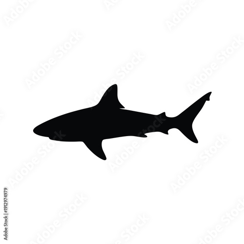Black Bull Shark Silhouette Vector Illustration on White Background flat design