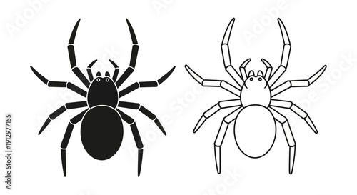 Black spider drawing illustration vector art graphic design Vector