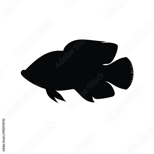Silhouette Arowana Fish Vector Illustration on White Background flat design