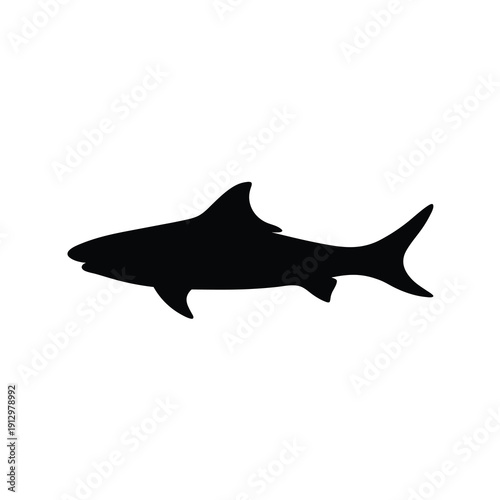 Black Shark Silhouette Vector Illustration on White Background flat design