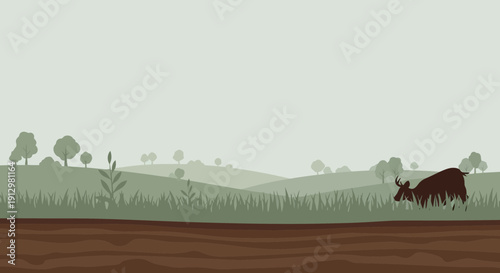 Silhouette of a Wild Ox Grazing in a Rural Landscape.