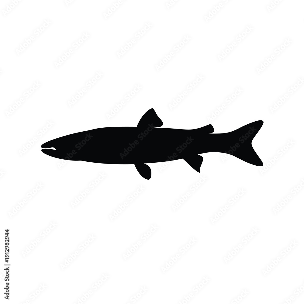 Fototapeta premium Black barracuda fish swimming isolated vector illustration flat design scalable art