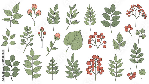 Extensive collection of various green leaves branches rosebuds and clusters of red berries in a botanical design set.