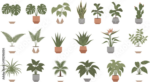 Houseplants in Pots Vector Collection, Indoor Greenery Set with Monstera Fiddle Leaf Fig and Cactus, Isolated Potted Plant Illustration