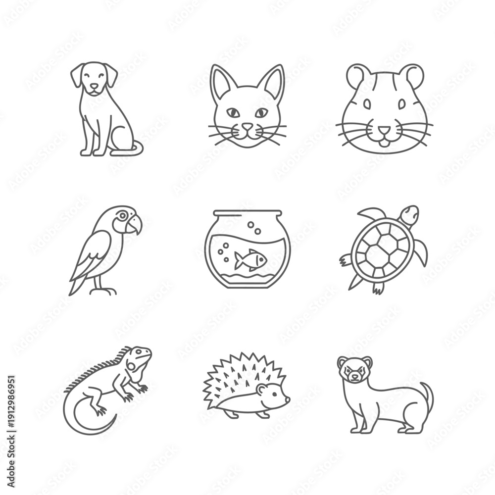 Obraz premium Pet shop linear icons set. Domestic animals thin line illustrations. Dog, cat, hamster, parrot, fish, turtle, iguana, hedgehog, ferret. Isolated outline drawing
