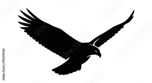 Black Silhouette of Eagle in Flight.