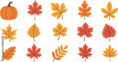 Autumn fallen leaves and pumpkin vector set, colorful fall foliage collection with maple and oak leaves