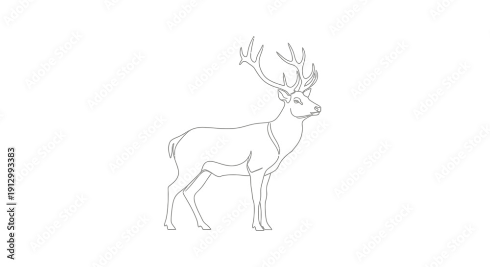 Fototapeta premium Line Drawing of Deer with Antlers.