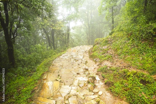 Himalaya trail (Annapurna range) in Nepal in summer
