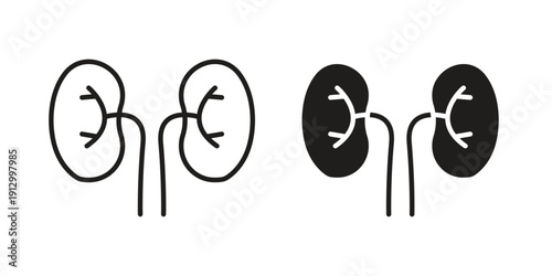 Kidneys icon symbol vector illustration on white background. Flat design.