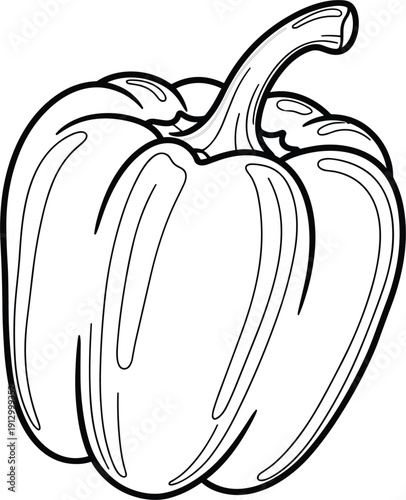 Hand drawn bell pepper line art illustration isolated on white background for healthy food cooking icons children coloring book or vegetable stickers.