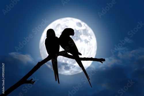 Silhouetted birds sharing a serene moment under a glowing full moon