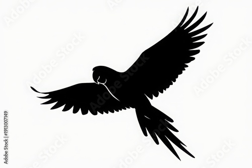 Graceful silhouette of a bird in mid-flight against a plain background