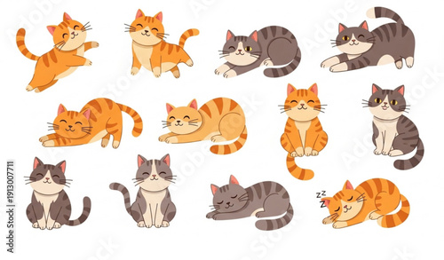 Cute Cartoon Cat Breeds Big Bundle Flat Vector Pet Illustration Set