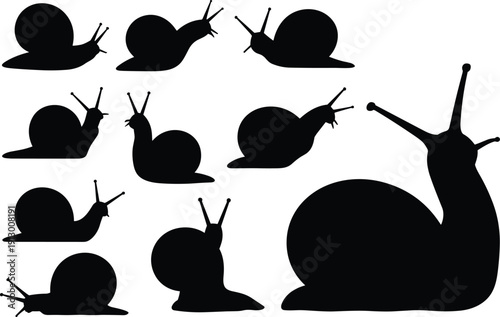 Snail silhouette collection garden mollusk isolated on white background minimalist vector set for nature illustration and design