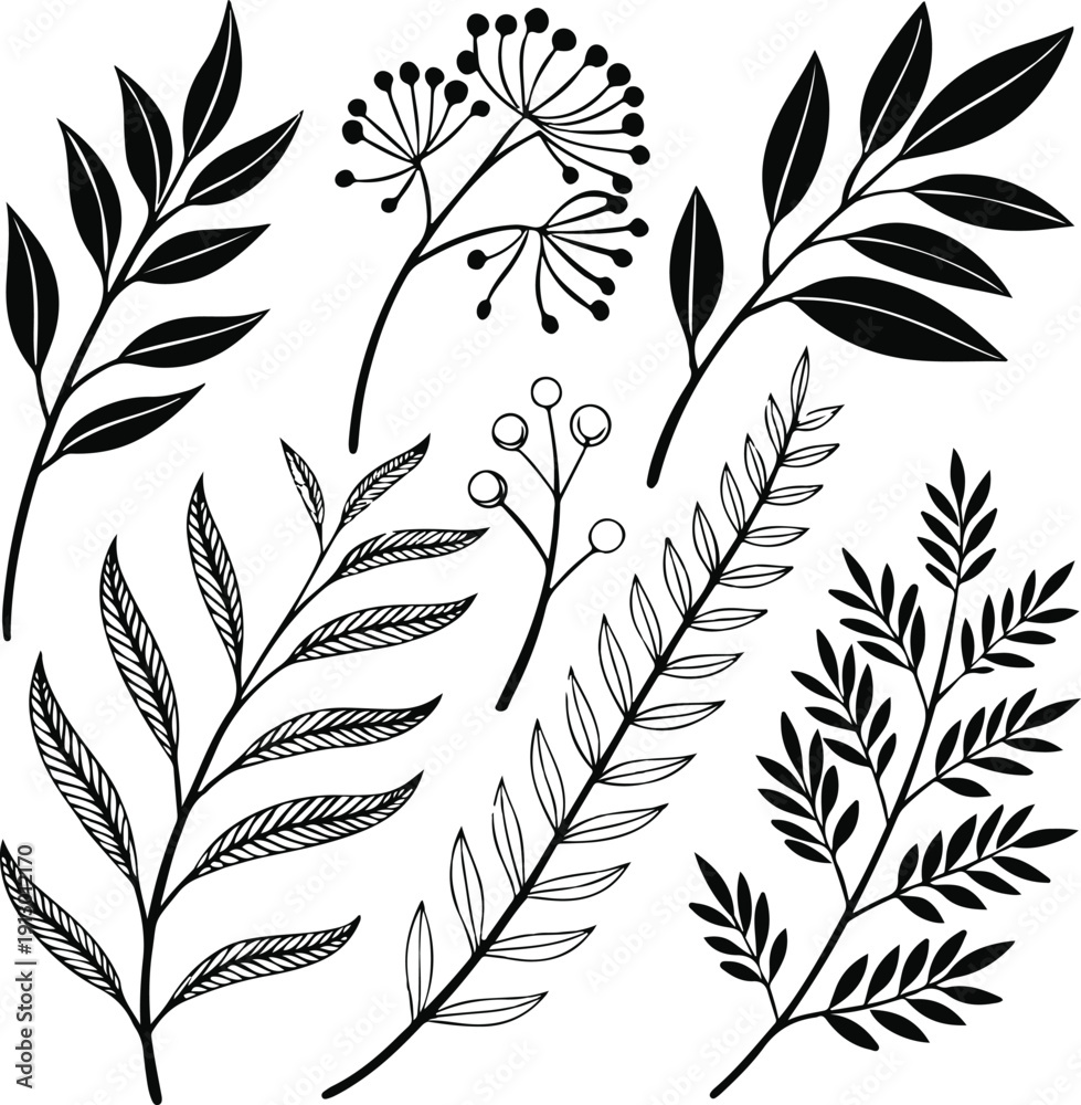 Obraz premium Seamless feather pattern background in decorative nature vector design