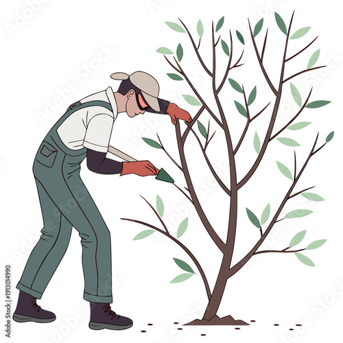 Landscaper Pruning Small Tree, Clean Professional Style