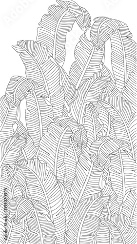 Technical vector illustration of a lush tropical wall mural, featuring dense banana leaves in detailed line art, ideal for interior design