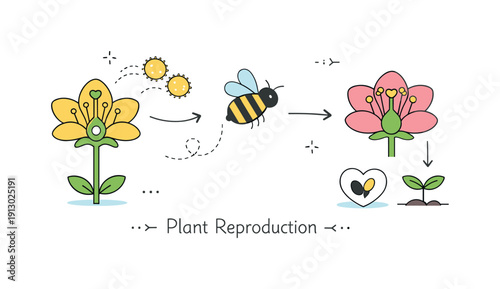 Plant reproduction pollination. An abstract educational scene combining flowers, pollen grains, and simple arrows to explain plant