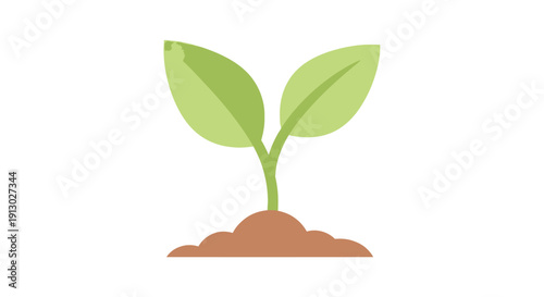 Young Green Plant Growing Out Soil.