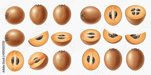 Set of fresh whole and sliced sapodilla fruits with seeds, isolated on transparent background.