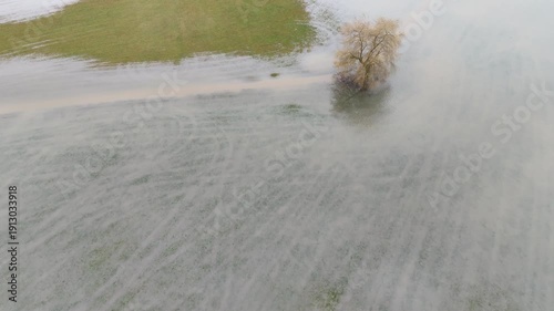 Lone Tree in Flooded Field Aerial View