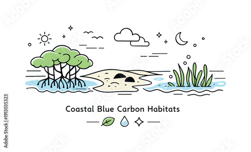 Coastal Blue Carbon Ecosystem. Coastal blue carbon habitats. Mangrove trees, tidal flats, and shallow water plants shown as a simple ecosystem