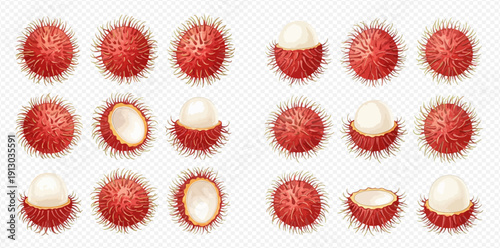 Set of fresh rambutan fruits, whole and peeled, showing the sweet, juicy flesh, isolated on a transparent background.
