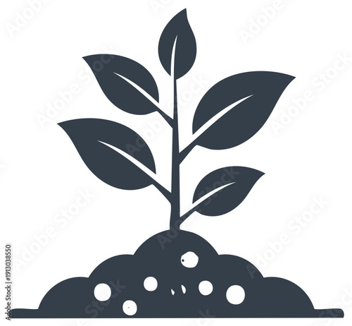 Plant growing from the ground shows new life and hope for a positive future