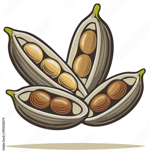 Open cardamom pods with seeds, aromatic spice for culinary and medicinal use in cooking and aromatherapy