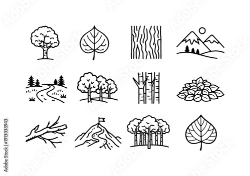 Aspen. Line icon set of Aspen: aspen tree, aspen leaf, tree bark texture, mountain background, forest path, fall foliage, tree trunk cluster,
