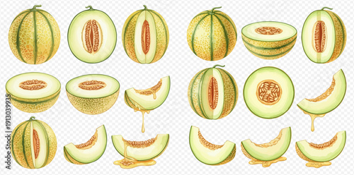 Watercolor illustration set of fresh cantaloupe melons, whole, half, and sliced, with juice drips on transparent background.