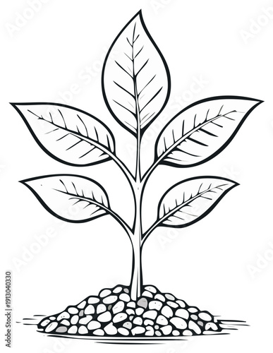 Hand drawn style line art illustration of a young plant with fresh leaves growing from fertile soil