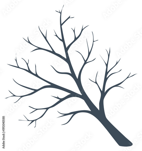 Elegant bare tree branches silhouette against white background stark winter nature design element