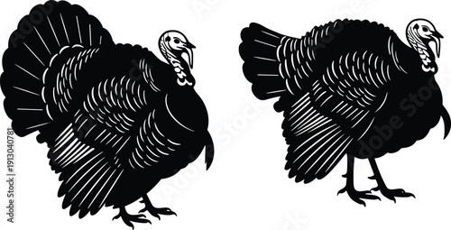 Stylized turkey silhouettes with detailed feather patterns, vector illustration for wildlife, Thanksgiving, autumn themes, avian design motifs