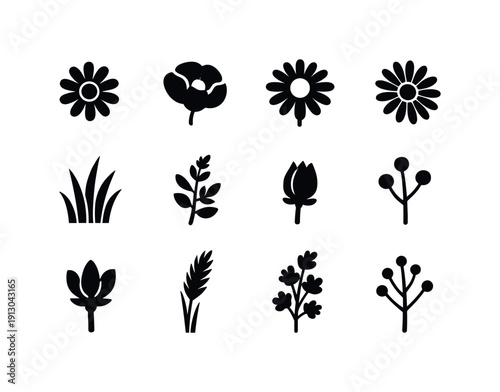   Summer meadow wildflowers. Filled icon set of Summer meadow wildflowers: daisy, poppy,