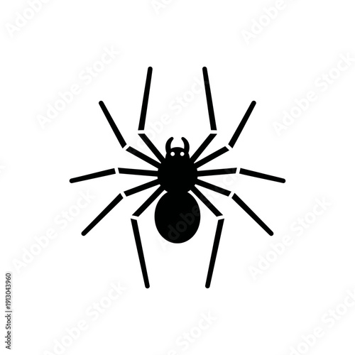 фотографія Black spider silhouette with legs outstretched.