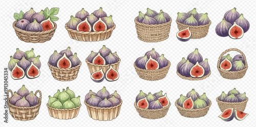 Watercolor illustrations of fresh figs in baskets and bowls, whole and cut, showcasing their vibrant colors and textures.